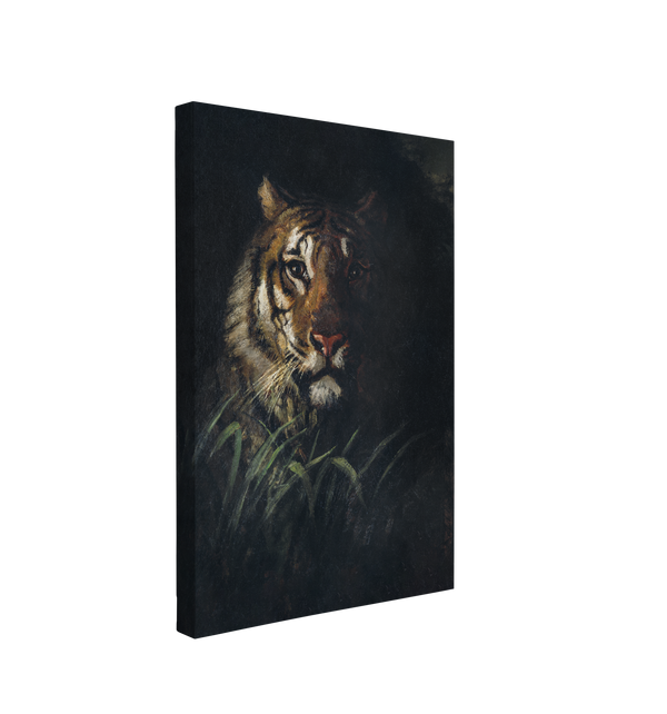 Tiger's Head by Abbott Handerson Thayer (1849–1921) - Canvas Print Wall Art Décor Whelhung