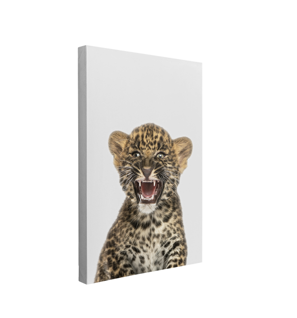 Minimalist Baby Leopard - Safari Animal Peekaboo Nursery Photography - Crystal Canvas Print Wall Art Décor Whelhung