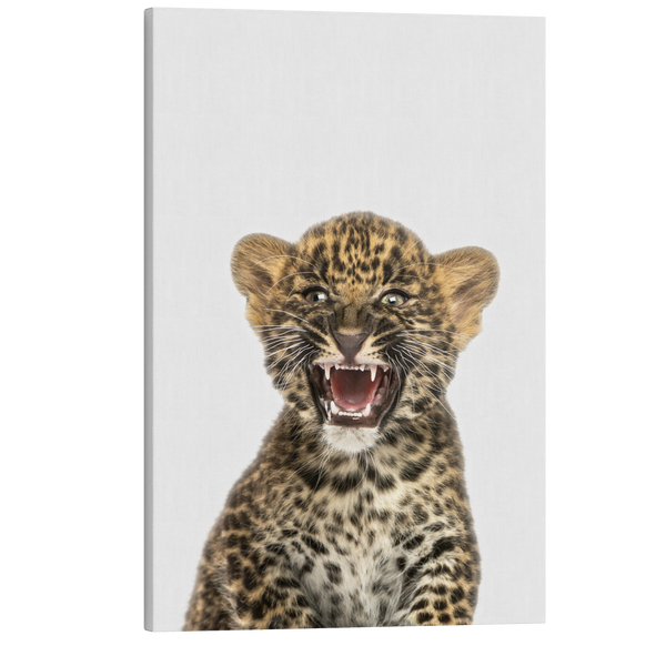 Minimalist Baby Leopard - Safari Animal Peekaboo Nursery Photography - Crystal Canvas Print Wall Art Décor Whelhung