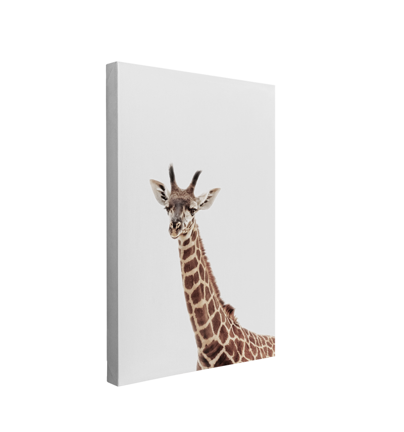 Minimalist Baby Giraffe - Safari Animal Peekaboo Nursery Photography - Crystal Canvas Print Wall Art Décor Whelhung