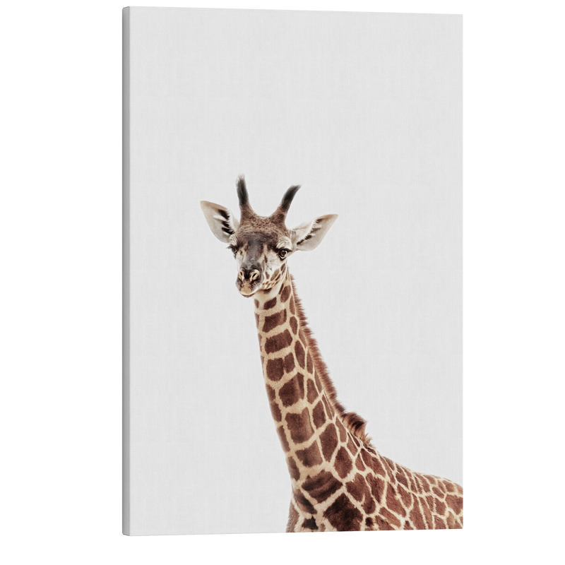 Minimalist Baby Giraffe - Safari Animal Peekaboo Nursery Photography - Crystal Canvas Print Wall Art Décor Whelhung