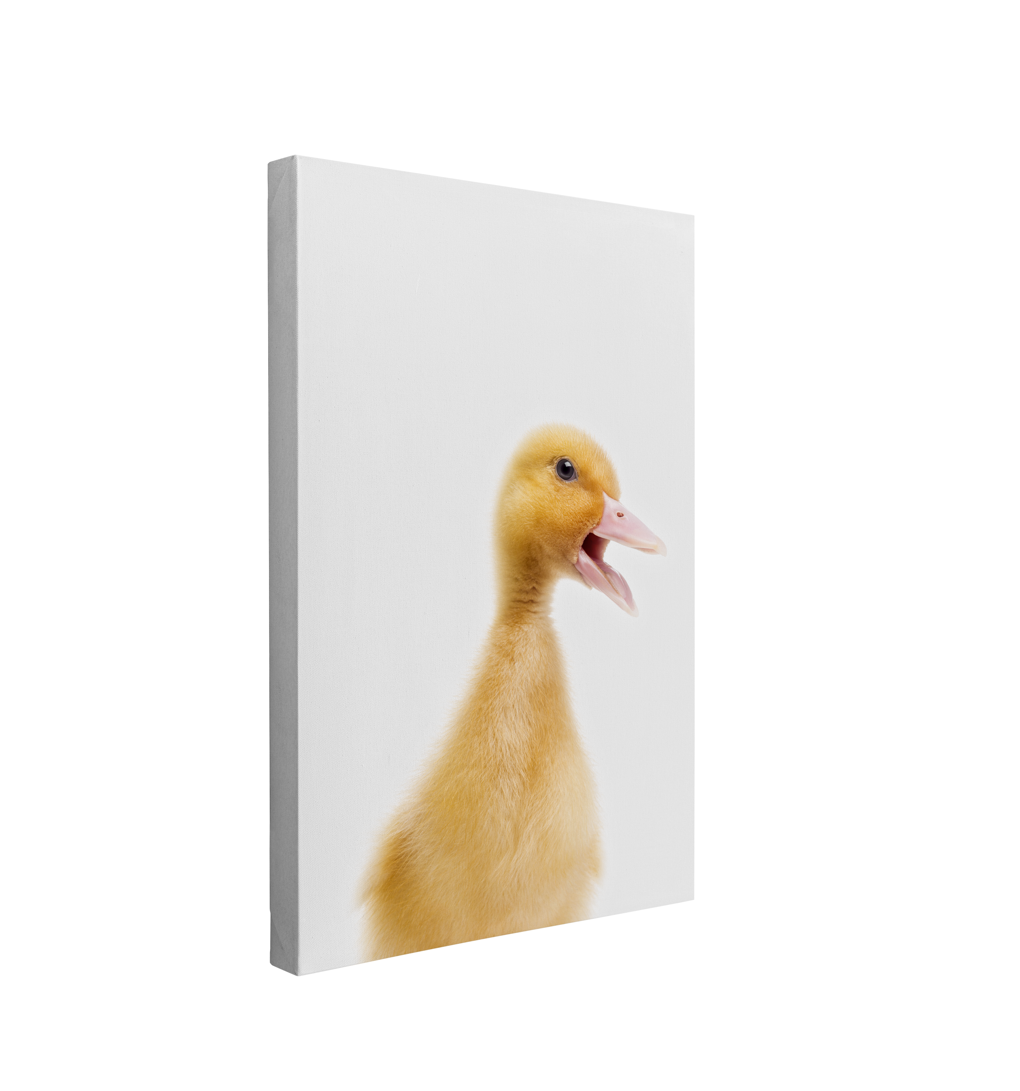 Minimalist Baby Duckling - Barn Animal Peekaboo Farmhouse Nursery Photography - Crystal Canvas Print Wall Art Décor Whelhung