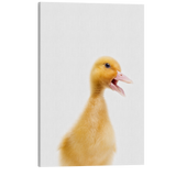 Minimalist Baby Duckling - Barn Animal Peekaboo Farmhouse Nursery Photography - Crystal Canvas Print Wall Art Décor Whelhung