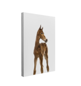Minimalist Baby Horse - Barn Animal Peekaboo Farmhouse Nursery Photography - Crystal Canvas Print Wall Art Décor Whelhung