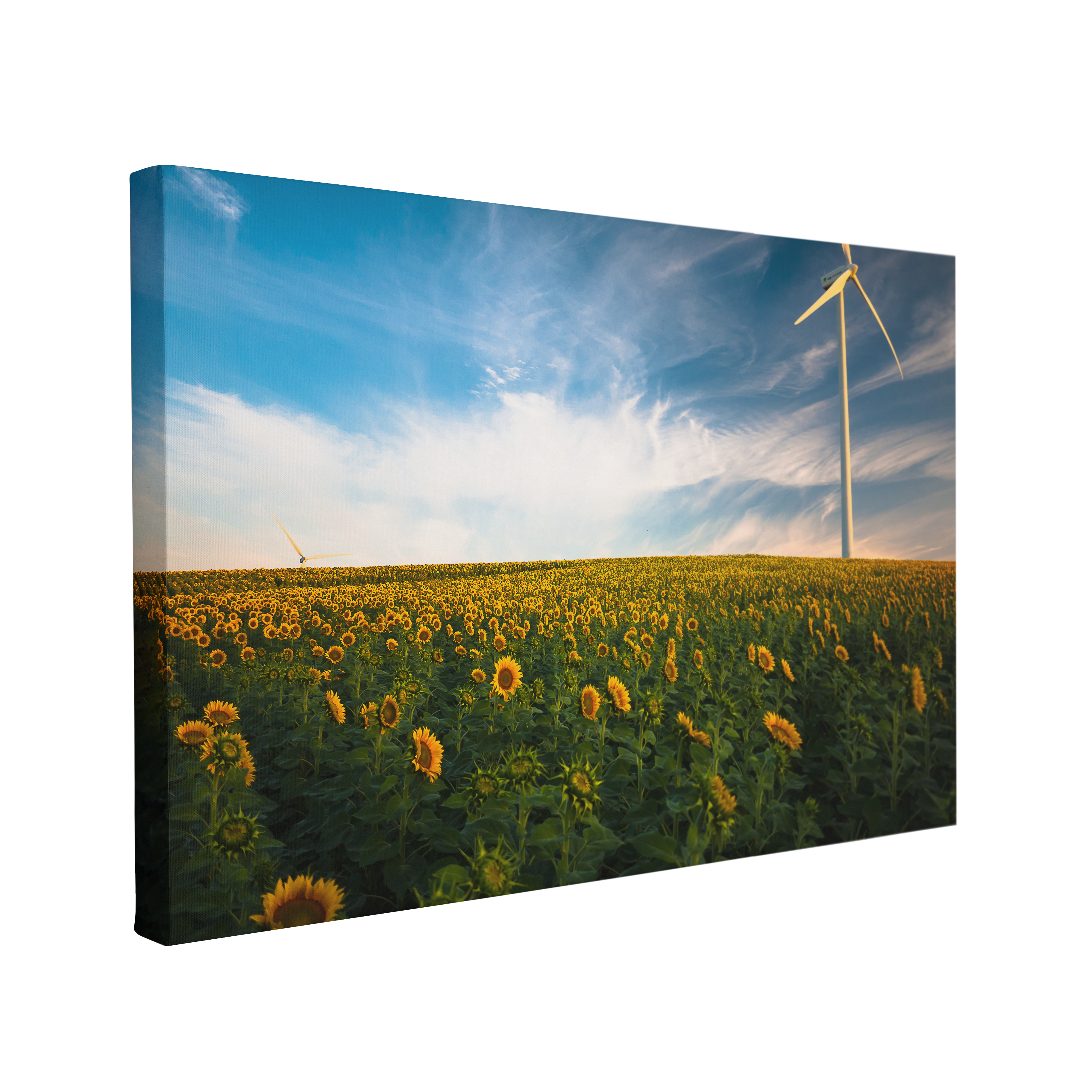 Sunflower Field Photography - Canvas Print Wall Art Décor Whelhung