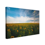 Sunflower Field Photography - Canvas Print Wall Art Décor Whelhung