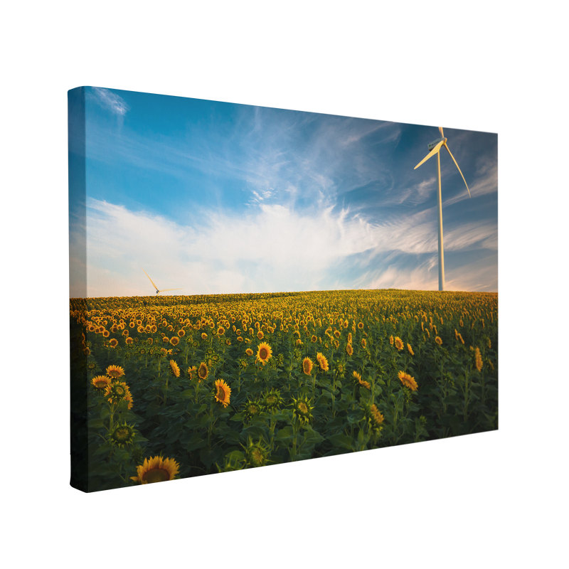 Sunflower Field Photography - Canvas Print Wall Art Décor Whelhung