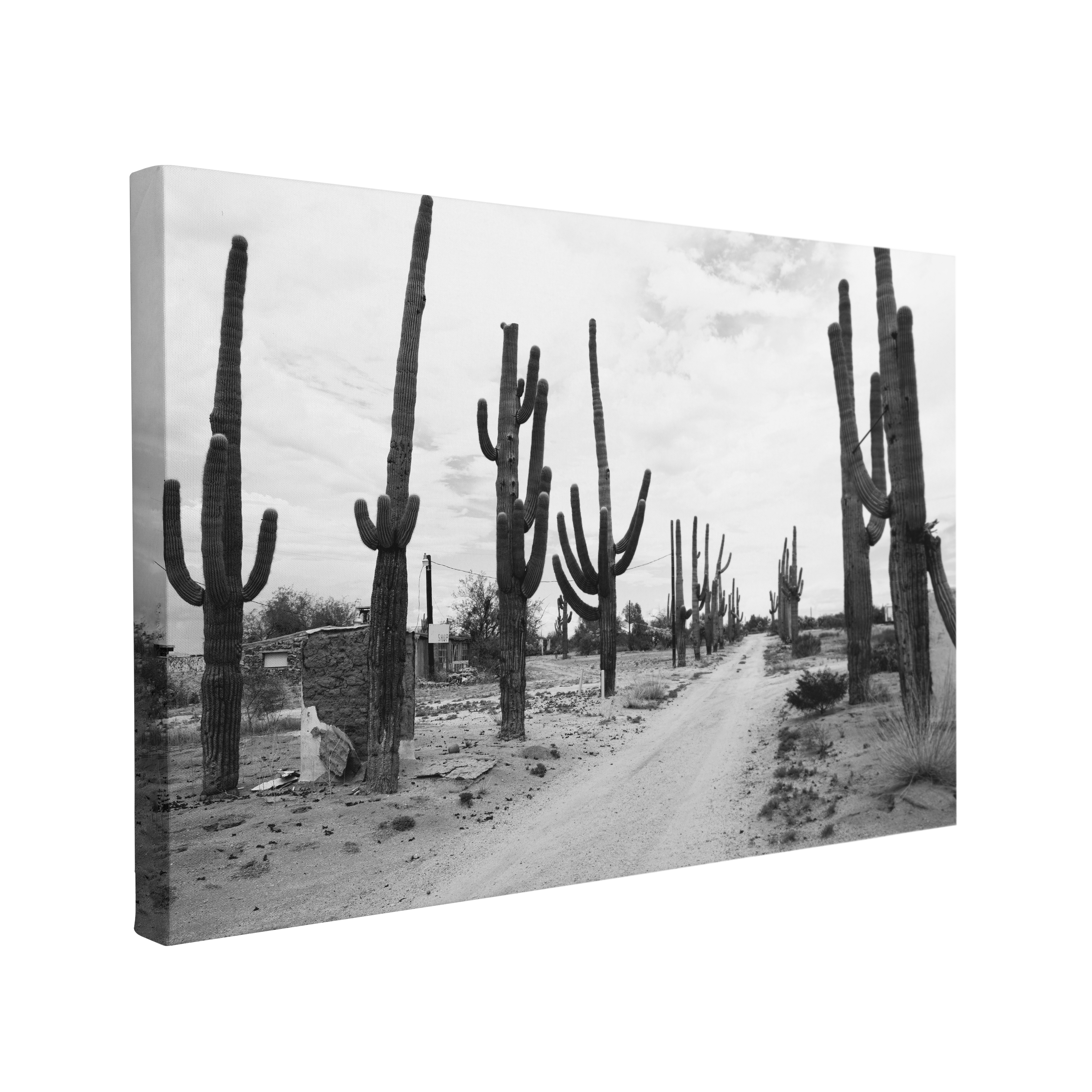 Black and White Cactus Desert Road Photography - Canvas Print Wall Art Décor Whelhung