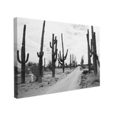 Black and White Cactus Desert Road Photography - Canvas Print Wall Art Décor Whelhung