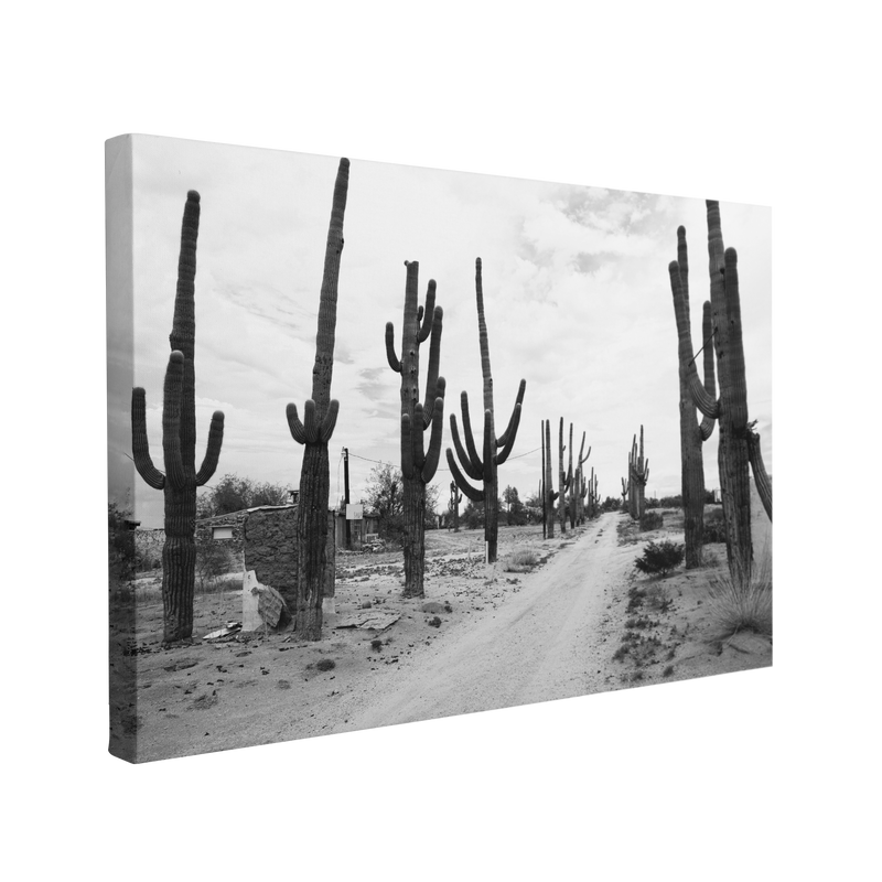 Black and White Cactus Desert Road Photography - Canvas Print Wall Art Décor Whelhung