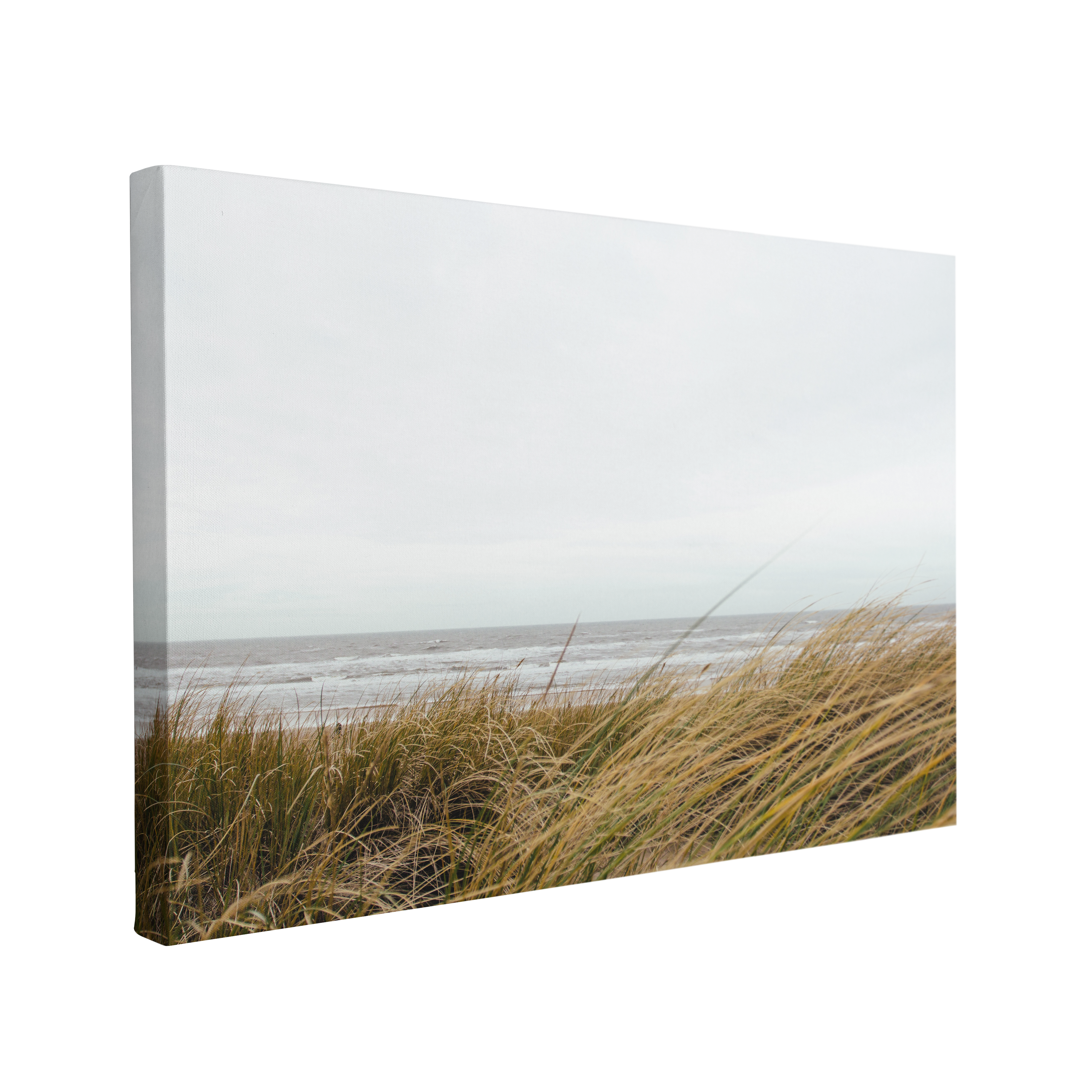 Beach Reeds Boho Coastal Photography - Canvas Print Wall Art Décor Whelhung