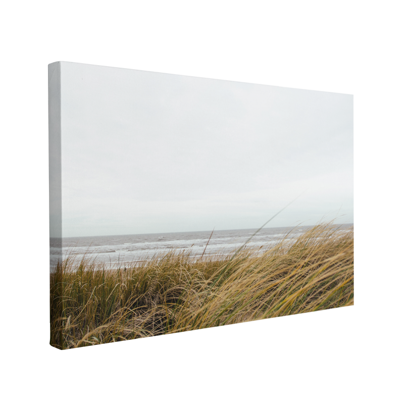 Beach Reeds Boho Coastal Photography - Canvas Print Wall Art Décor Whelhung