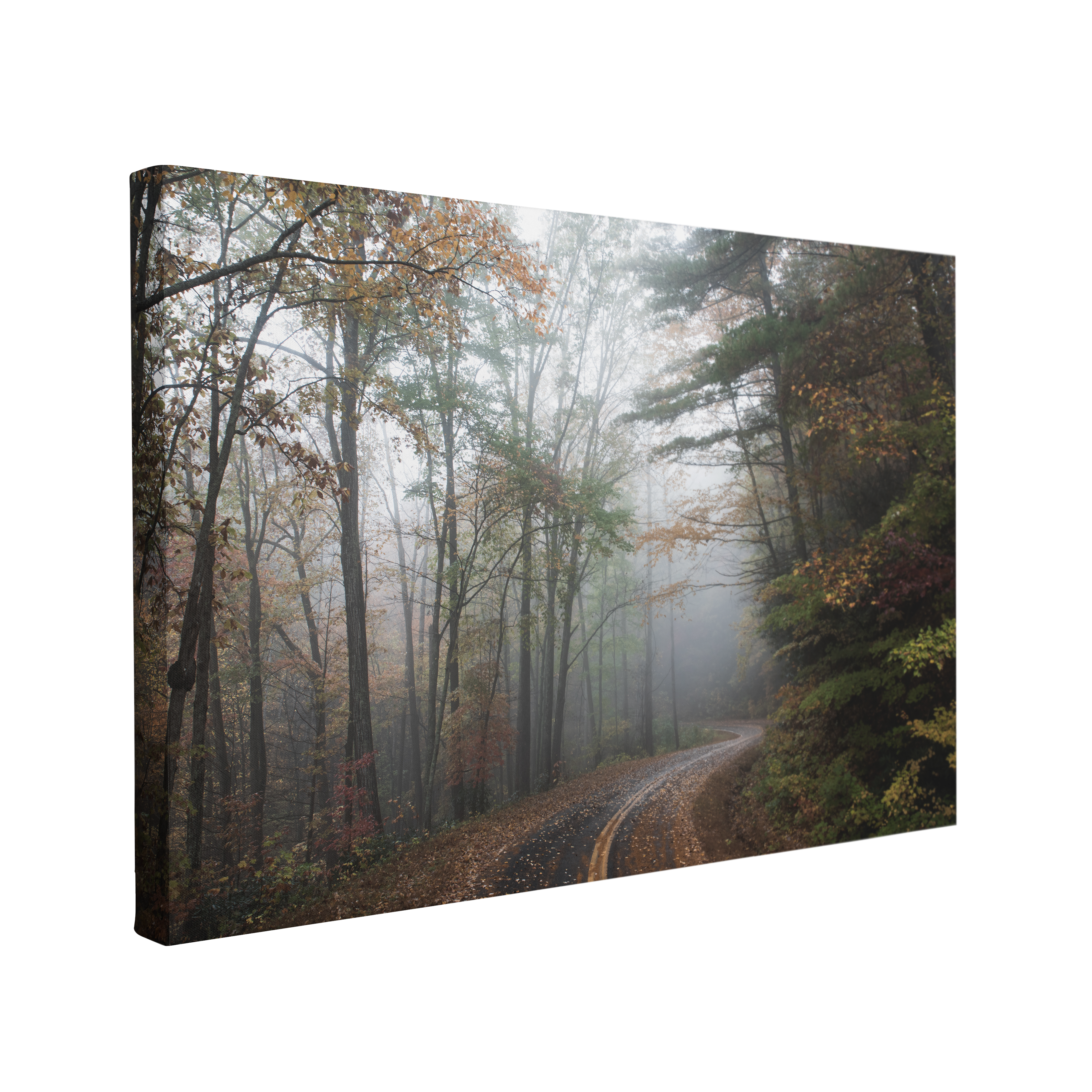 Moody Autumn Forest Road Photography - Canvas Print Wall Art Décor Whelhung