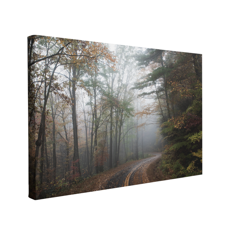 Moody Autumn Forest Road Photography - Canvas Print Wall Art Décor Whelhung