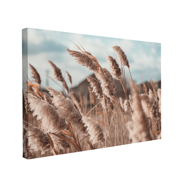 Pampas Grass Boho Coastal Photography - Canvas Print Wall Art Décor Whelhung