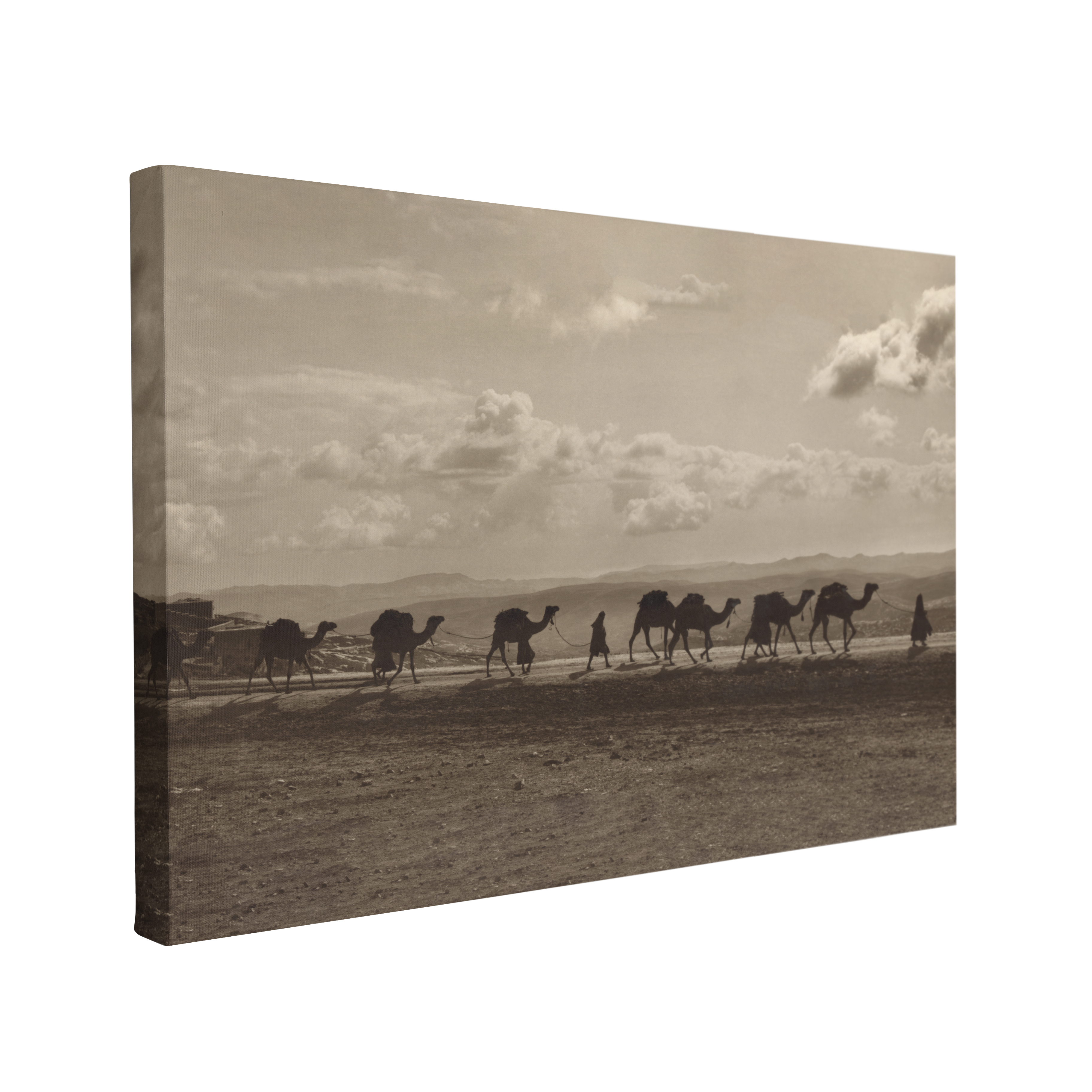 Black and White Camel Line Desert Road Photography - Canvas Print Wall Art Décor Whelhung