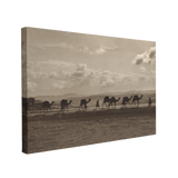 Black and White Camel Line Desert Road Photography - Canvas Print Wall Art Décor Whelhung