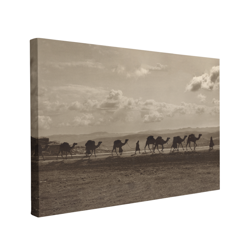 Black and White Camel Line Desert Road Photography - Canvas Print Wall Art Décor Whelhung