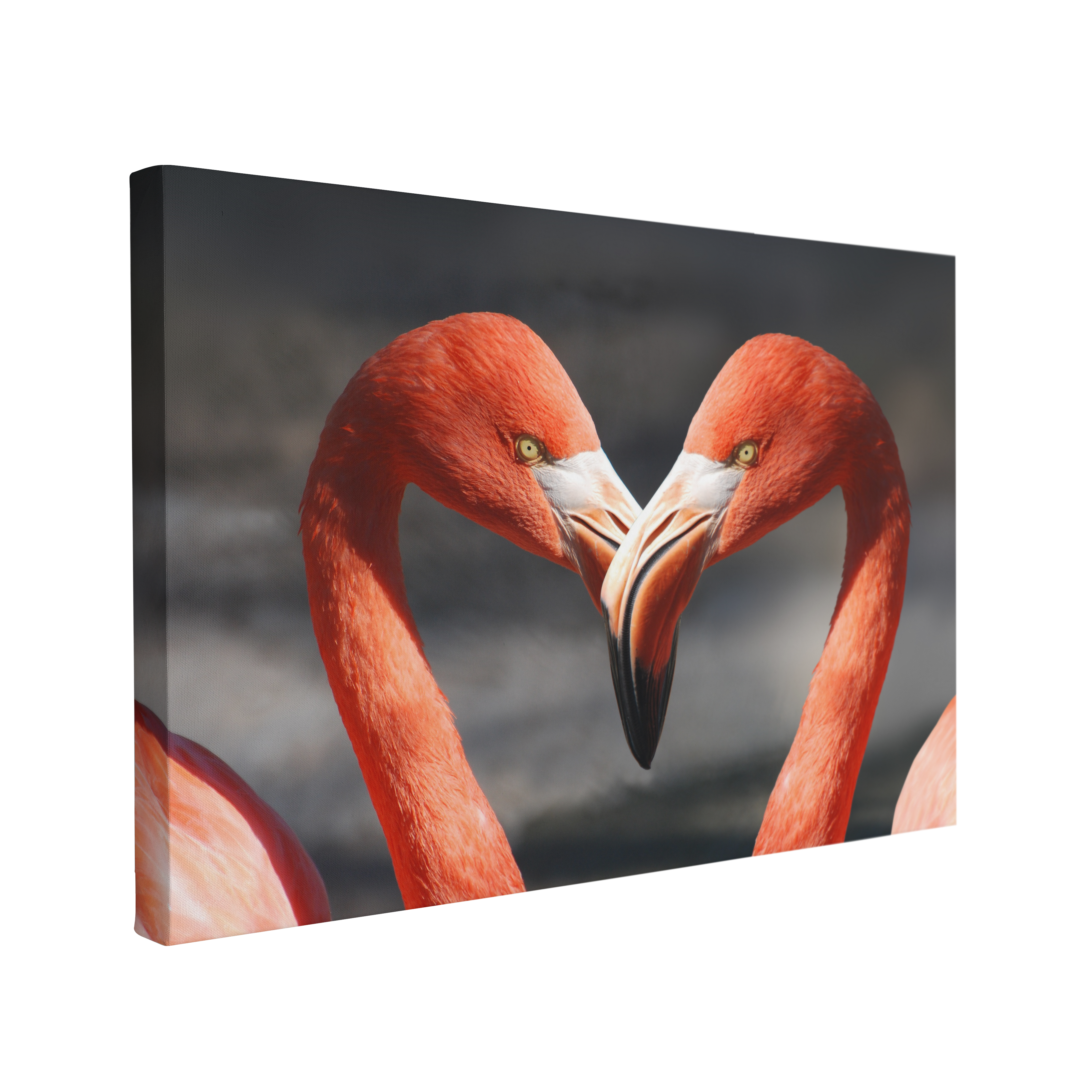 Heart Flamingoes Romantic Portrait Photography - Canvas Print Wall Art Décor Whelhung