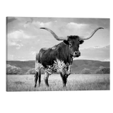 Black and White Texas Longhorn - Animal Photography - Crystal Canvas Print Wall Art Décor Whelhung