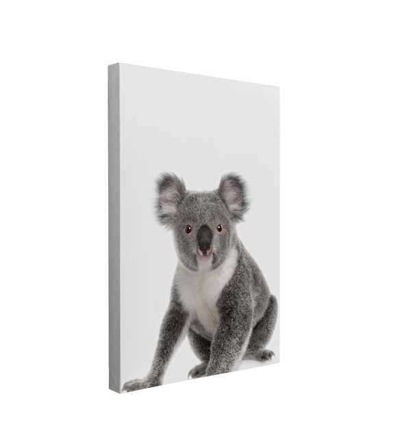 Minimalist Koala - Animal Nursery Photography - Crystal Canvas Print Wall Art Décor Whelhung