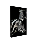 Black and White Zebra Pair - Animal Photography - Crystal Canvas Print Wall Art Décor Whelhung