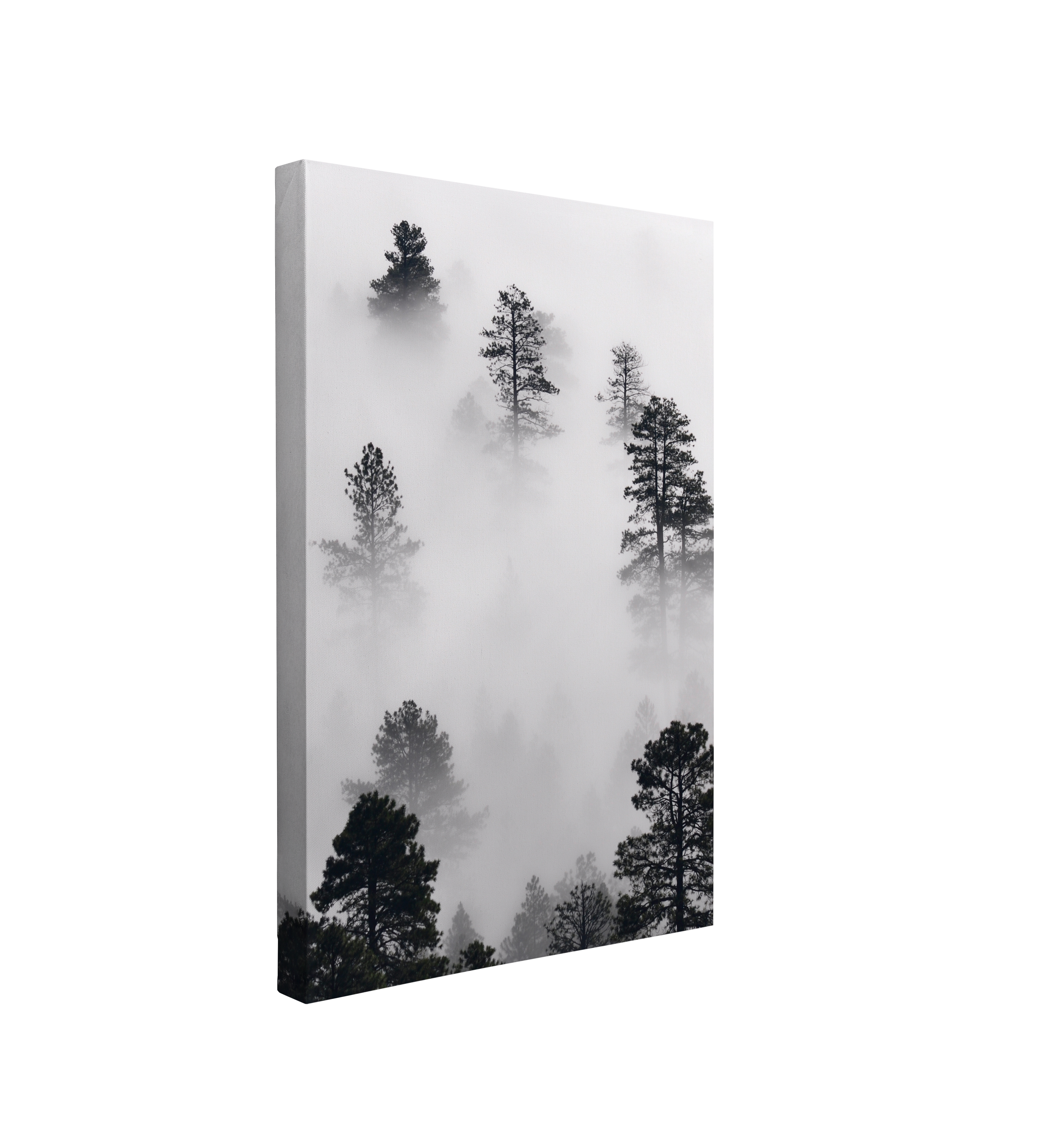 Moody Winter Misty Forest Photography - Canvas Print Wall Art Décor Whelhung