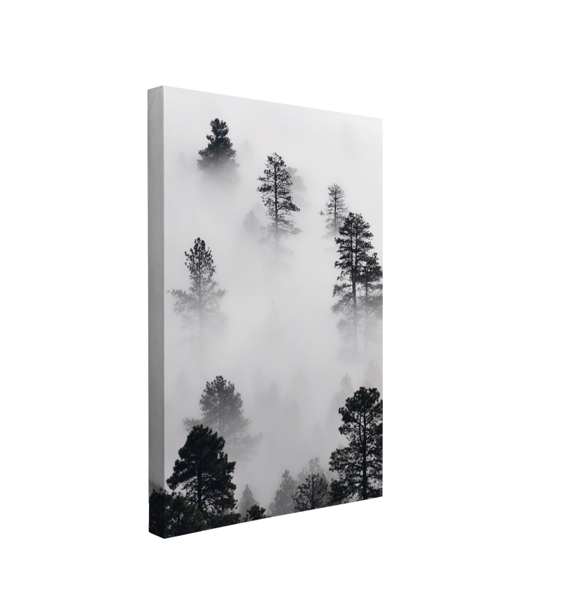 Moody Winter Misty Forest Photography - Canvas Print Wall Art Décor Whelhung