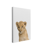 Minimalist Baby Lion - Safari Animal Peekaboo Nursery Photography - Crystal Canvas Print Wall Art Décor Whelhung