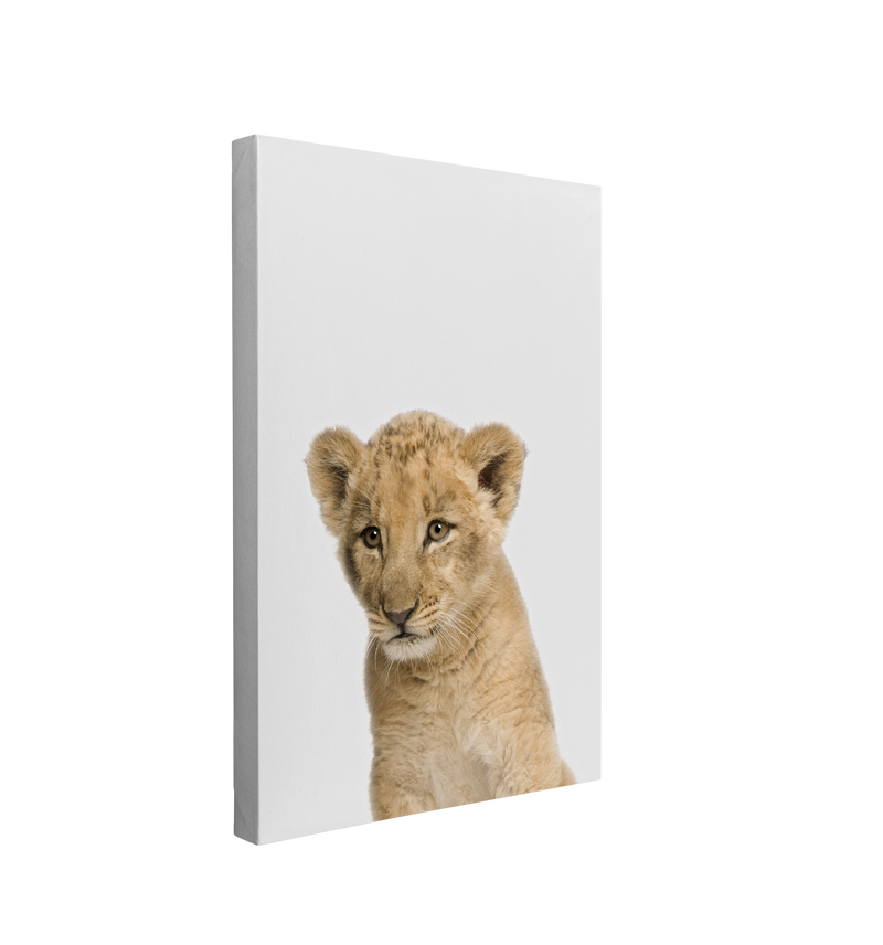 Minimalist Baby Lion - Safari Animal Peekaboo Nursery Photography - Crystal Canvas Print Wall Art Décor Whelhung