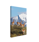 Guanacos Llamas on a Mountain Portrait Photography - Canvas Print Wall Art Décor Whelhung