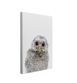 Minimalist Baby Owl - Woodland Animal Peekaboo Nursery Photography - Crystal Canvas Print Wall Art Décor Whelhung