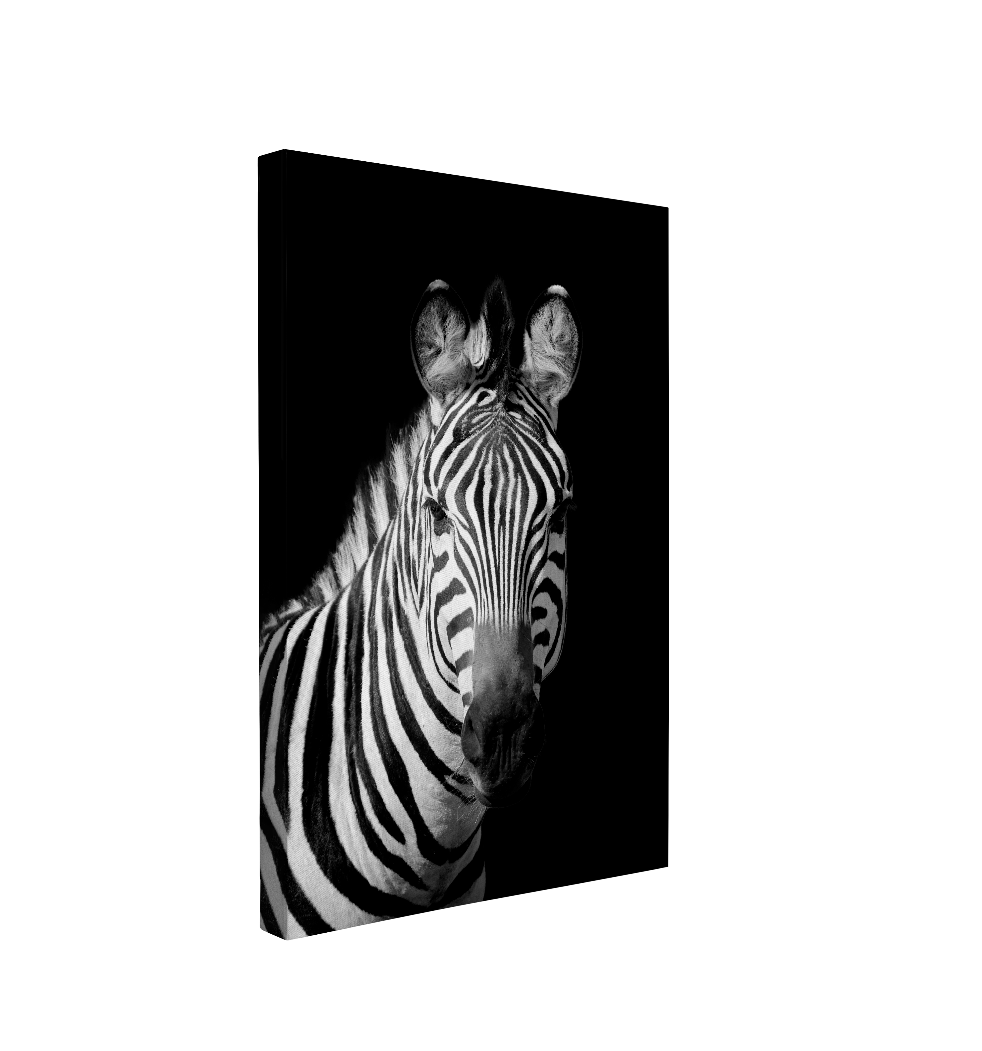 Black and White Zebra - Animal Photography - Crystal Canvas Print Wall Art Décor Whelhung