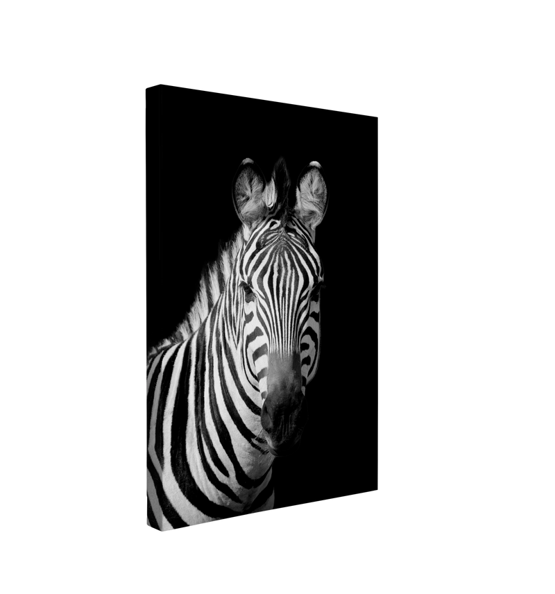 Black and White Zebra - Animal Photography - Crystal Canvas Print Wall Art Décor Whelhung