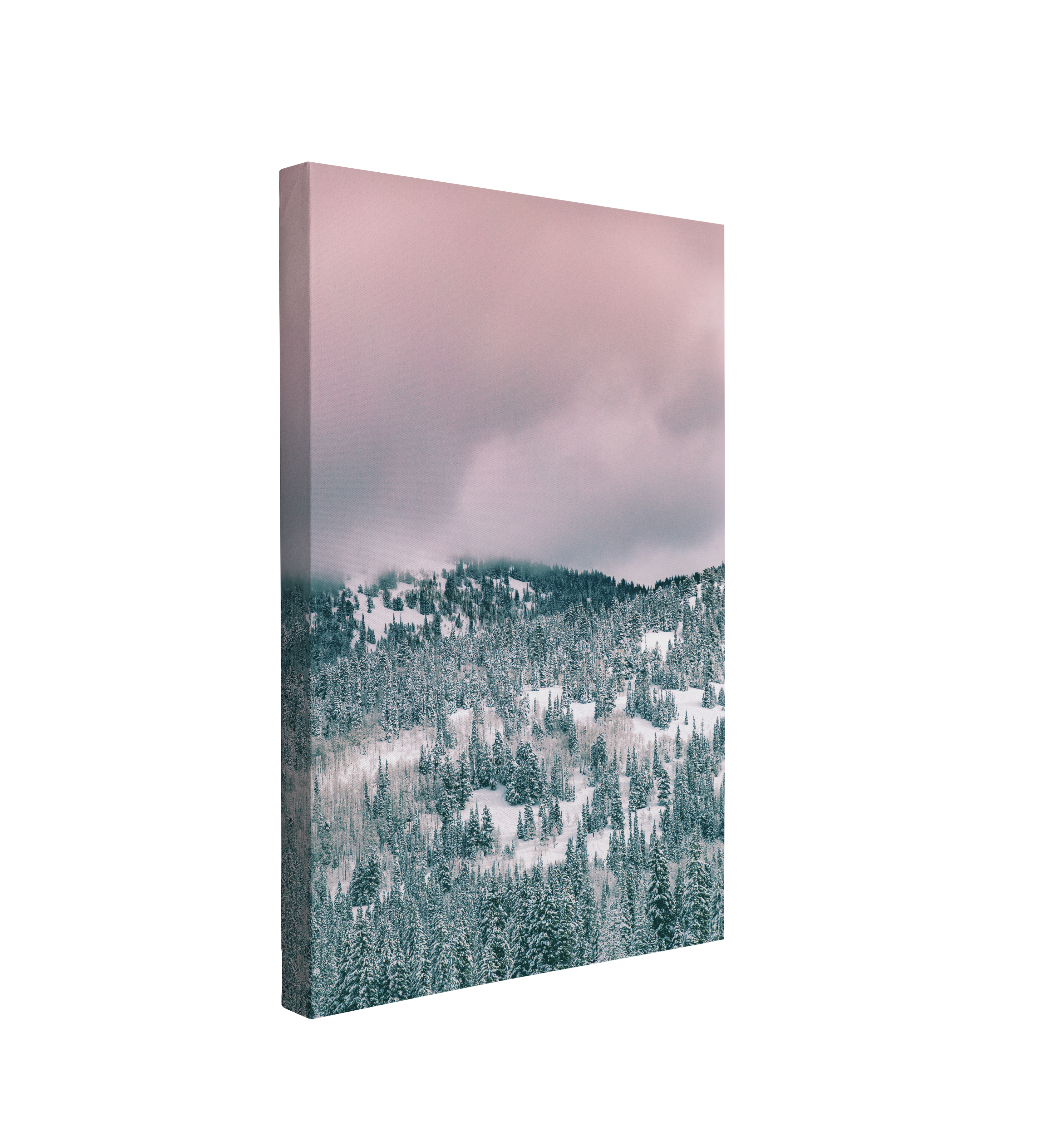 Pink Winter Nordic Forest Sky Photography - Canvas Print Wall Art Décor Whelhung