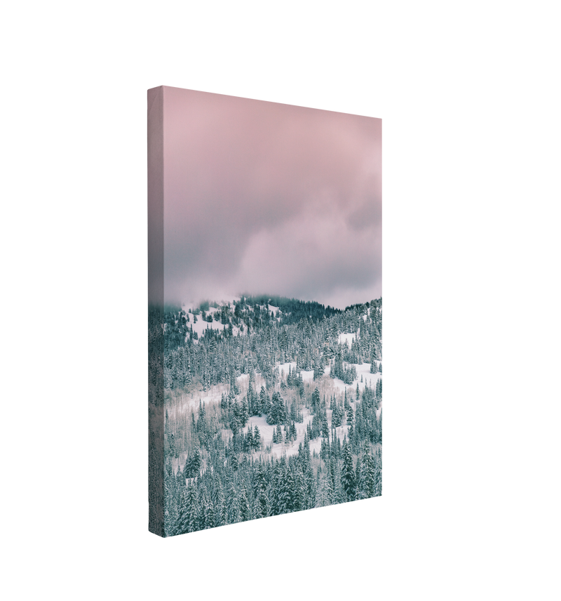 Pink Winter Nordic Forest Sky Photography - Canvas Print Wall Art Décor Whelhung