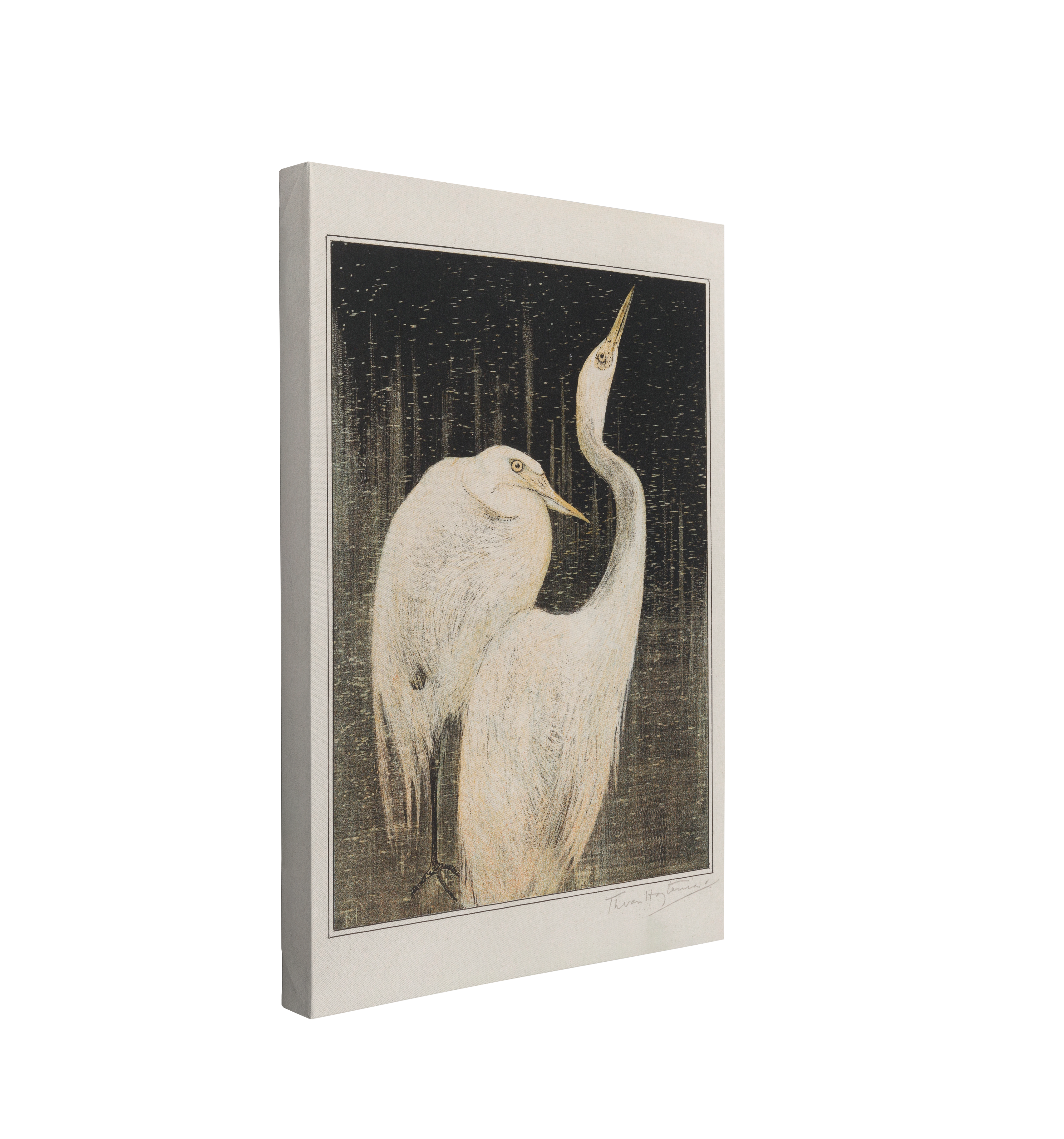 Twee Zilverreigers by Theo van Hoytema - White Herons - Canvas Print Wall Art Décor Whelhung