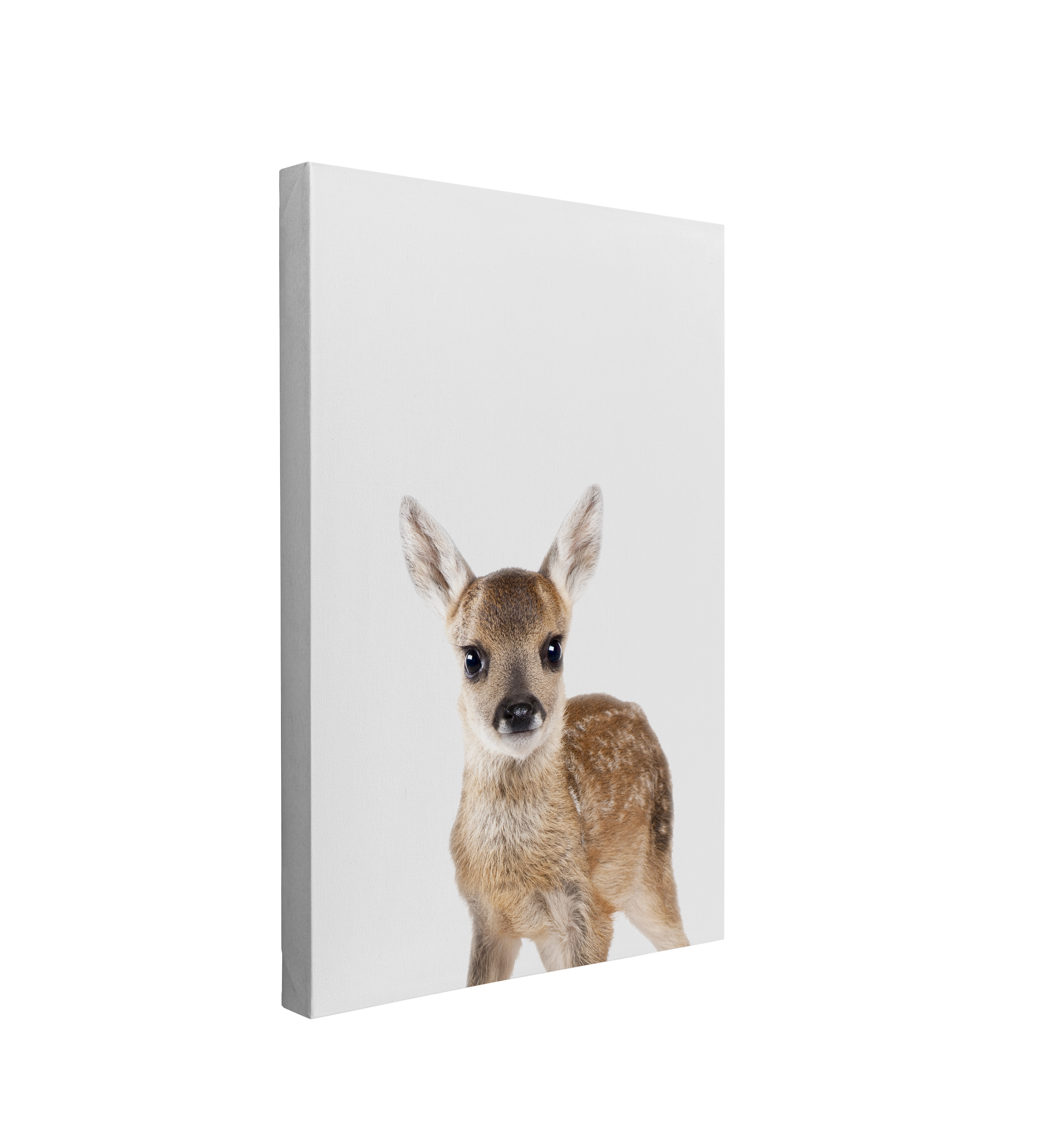 Minimalist Baby Deer - Woodland Animal Peekaboo Nursery Photography - Crystal Canvas Print Wall Art Décor Whelhung