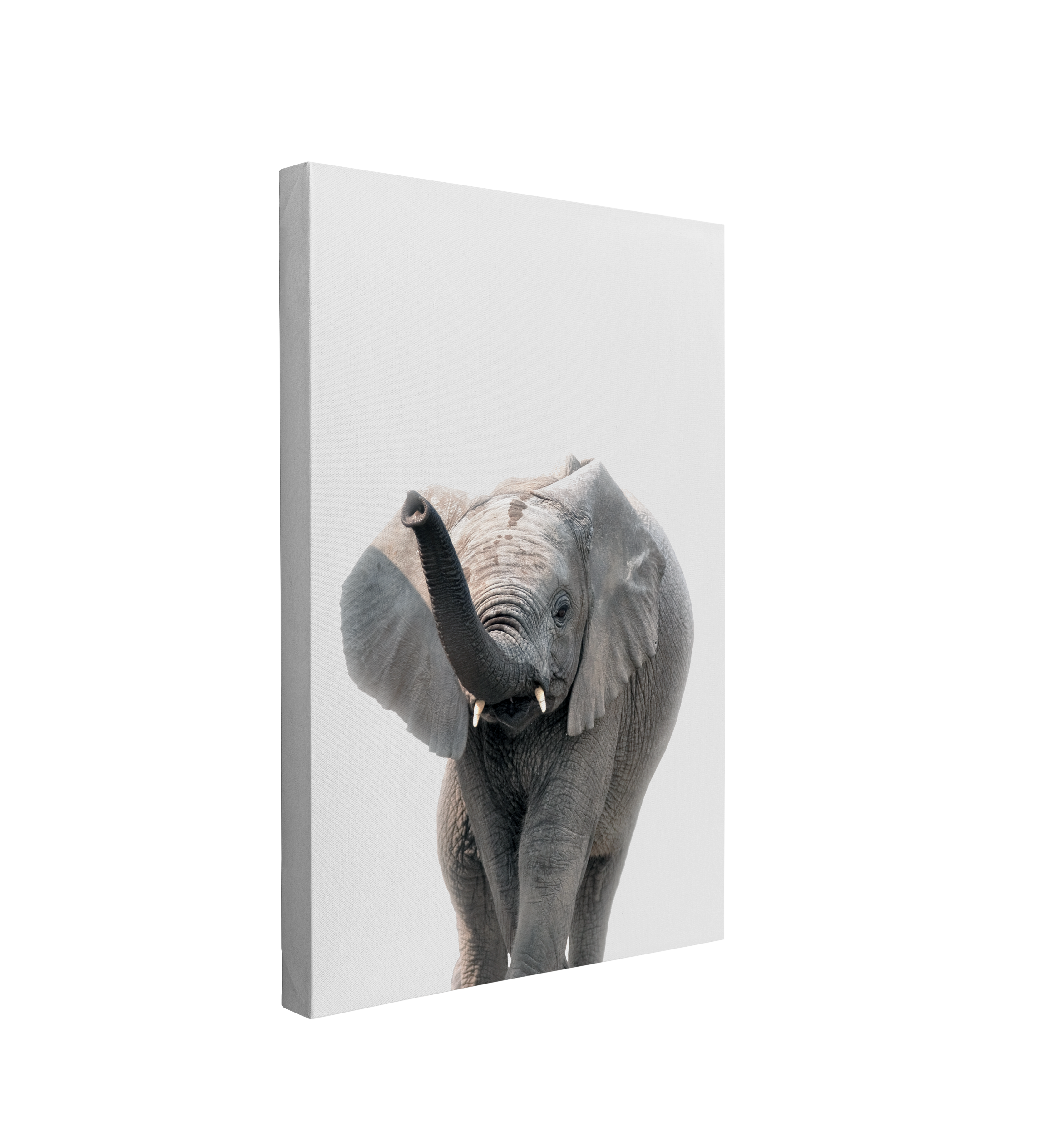 Minimalist Baby Elephant - Safari Animal Peekaboo Nursery Photography - Crystal Canvas Print Wall Art Décor Whelhung