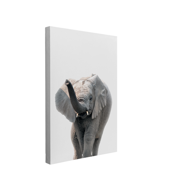 Minimalist Baby Elephant - Safari Animal Peekaboo Nursery Photography - Crystal Canvas Print Wall Art Décor Whelhung