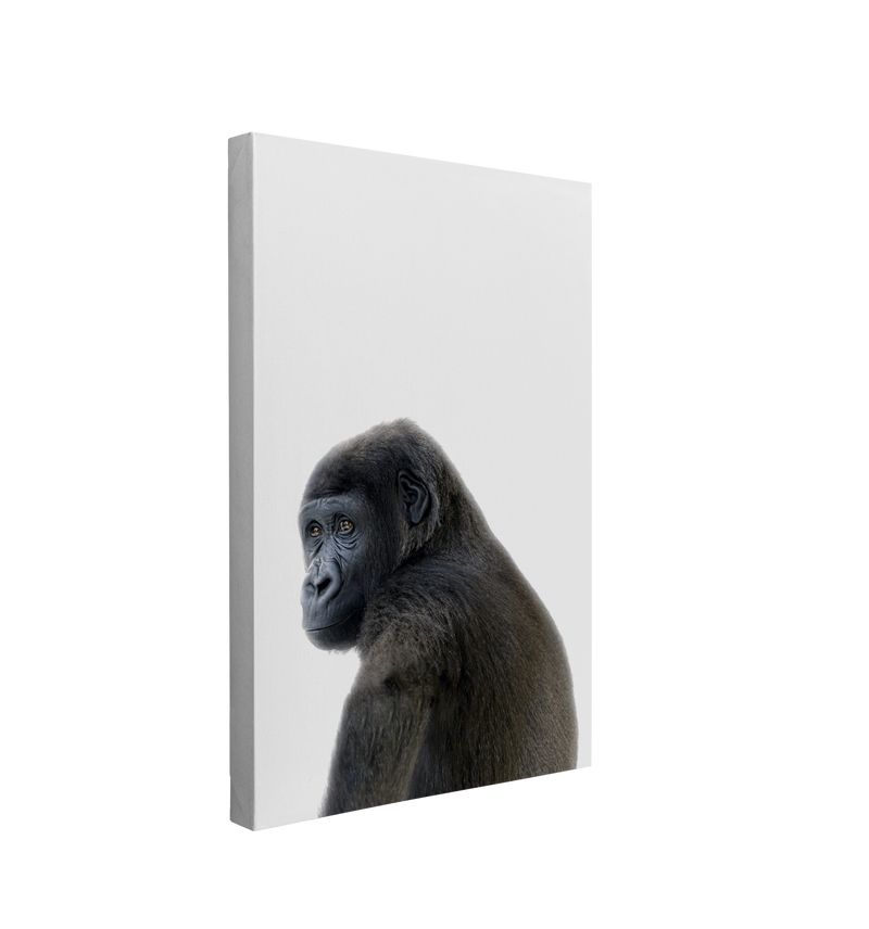 Minimalist Baby Gorilla - Safari Animal Peekaboo Nursery Photography - Crystal Canvas Print Wall Art Décor Whelhung
