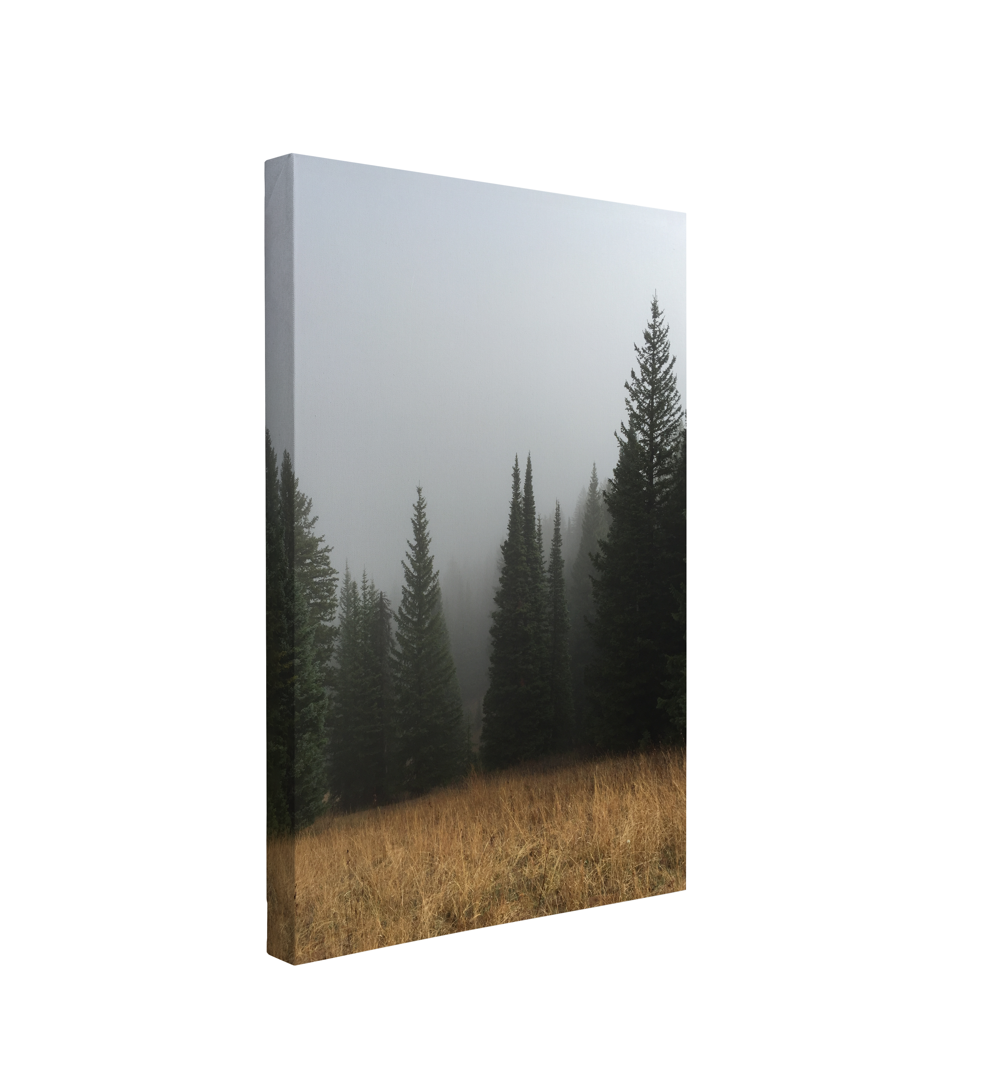 Misty Moody Woods Photography - Canvas Print Wall Art Décor Whelhung