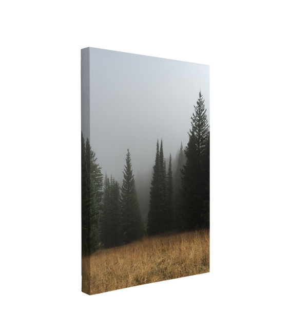 Misty Moody Woods Photography - Canvas Print Wall Art Décor Whelhung