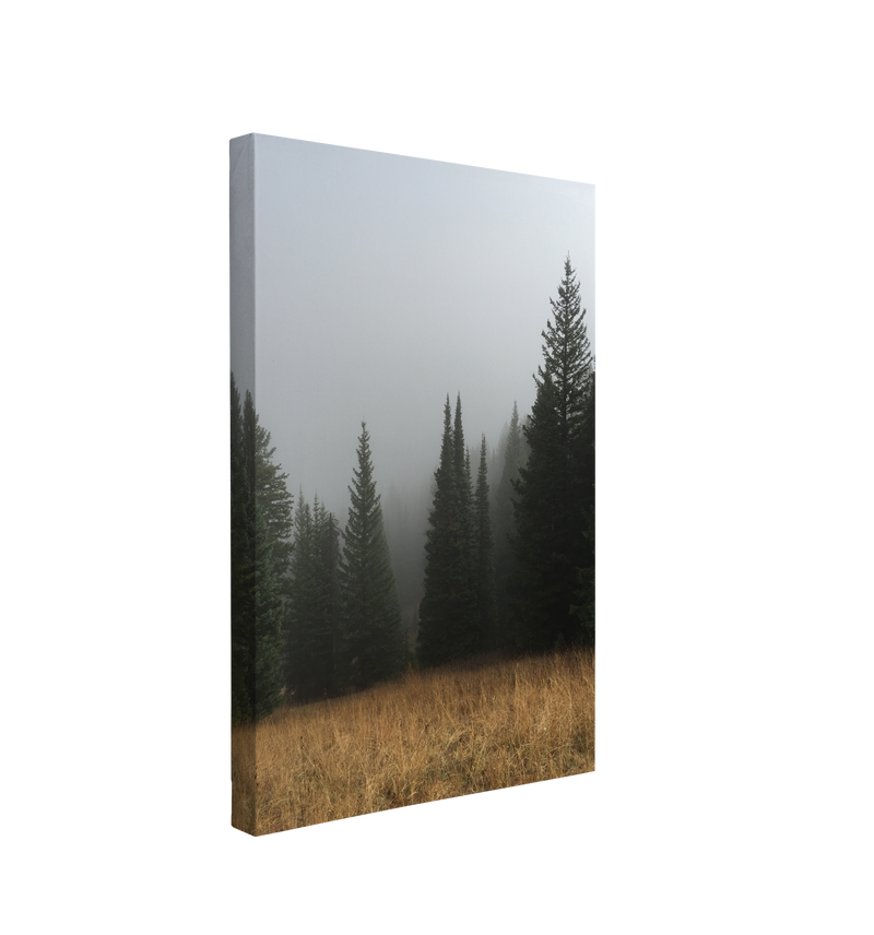 Misty Moody Woods Photography - Canvas Print Wall Art Décor Whelhung