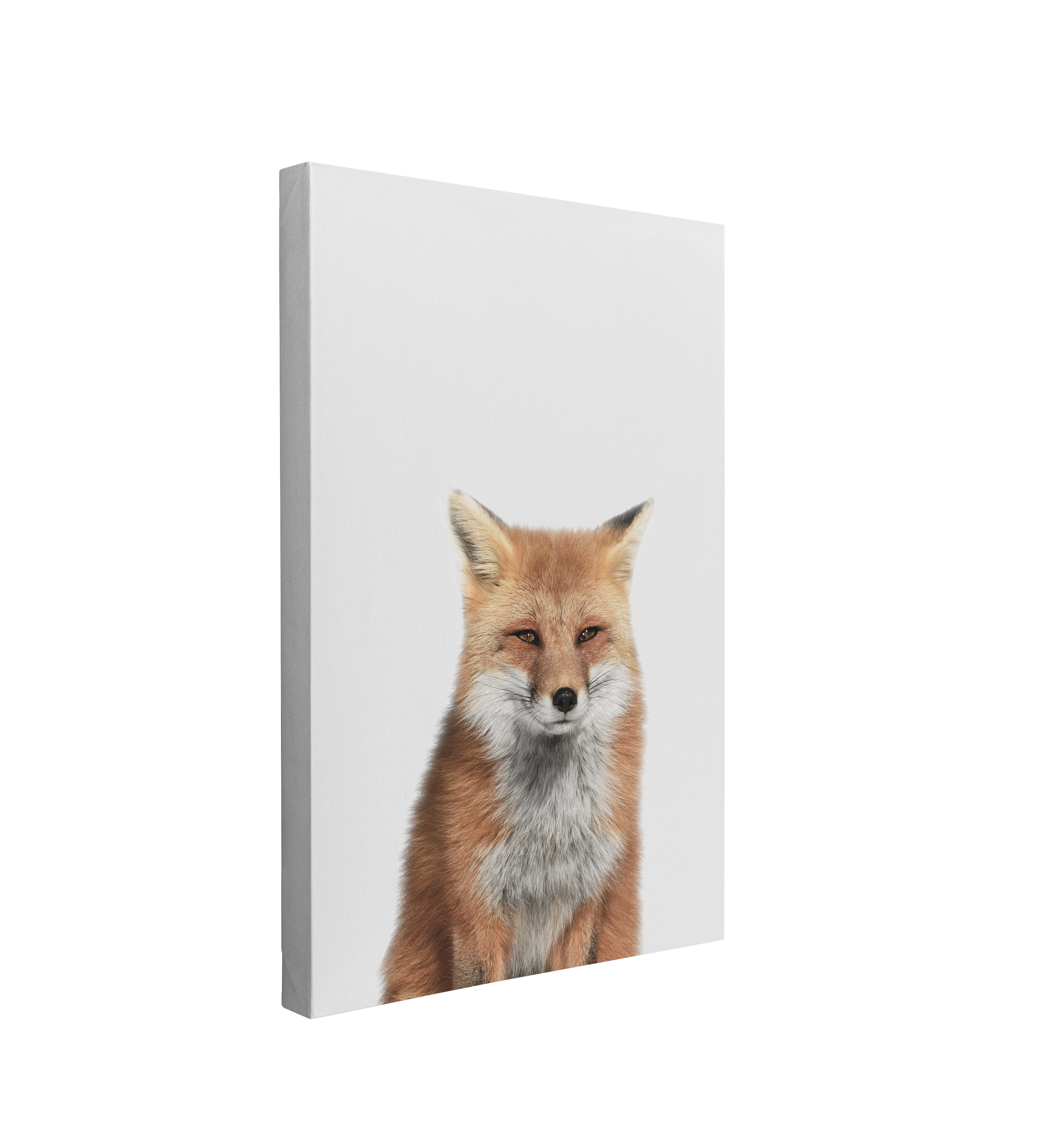 Minimalist Baby Fox - Woodland Animal Peekaboo Nursery Photography - Crystal Canvas Print Wall Art Décor Whelhung