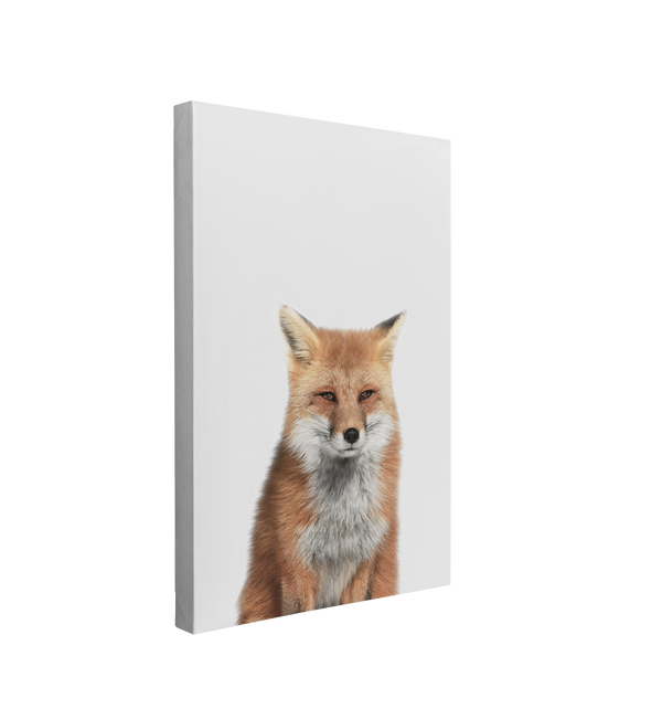 Minimalist Baby Fox - Woodland Animal Peekaboo Nursery Photography - Crystal Canvas Print Wall Art Décor Whelhung