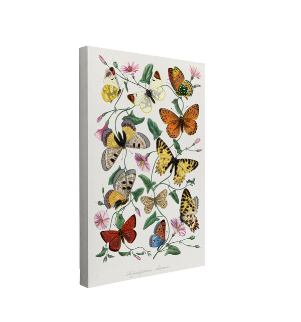 Le Jardin Des Plantes by Paul Gervais - The Botanical Garden Butterflies - Canvas Print Wall Art Décor Whelhung