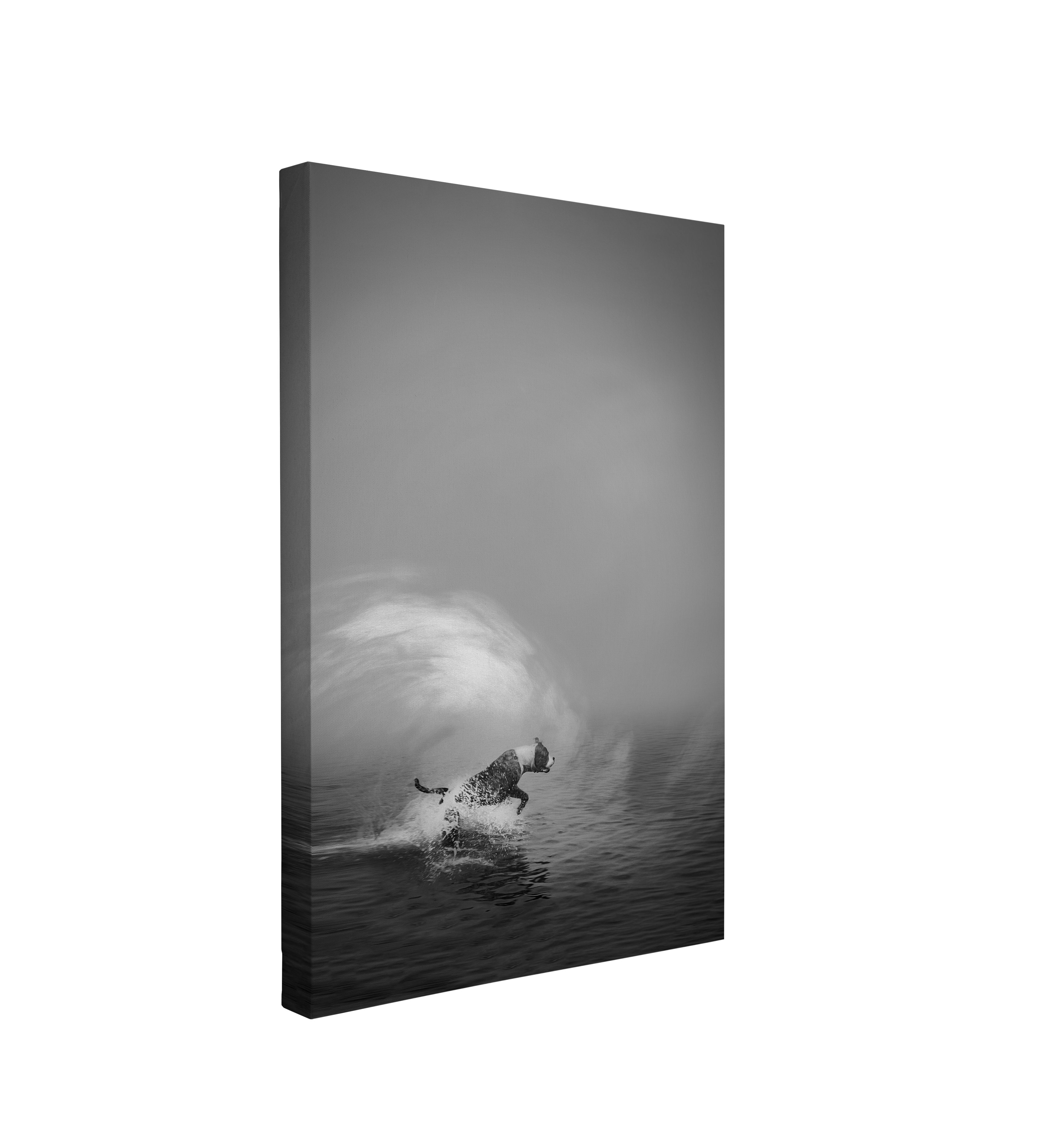 Black and White Dog in a Wave - Canvas Print Wall Art Décor Whelhung