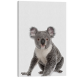 Minimalist Koala - Animal Nursery Photography - Crystal Canvas Print Wall Art Décor Whelhung