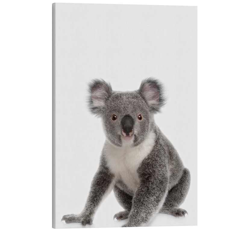 Minimalist Koala - Animal Nursery Photography - Crystal Canvas Print Wall Art Décor Whelhung